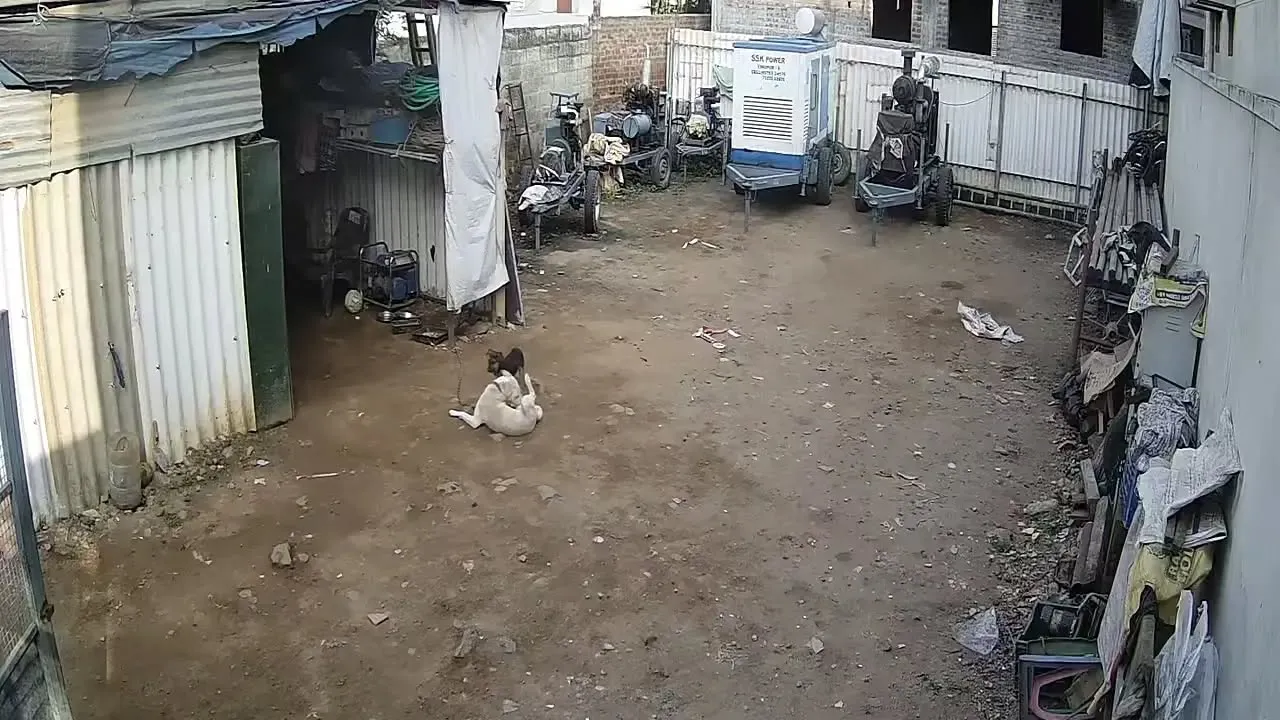 cctv camera
