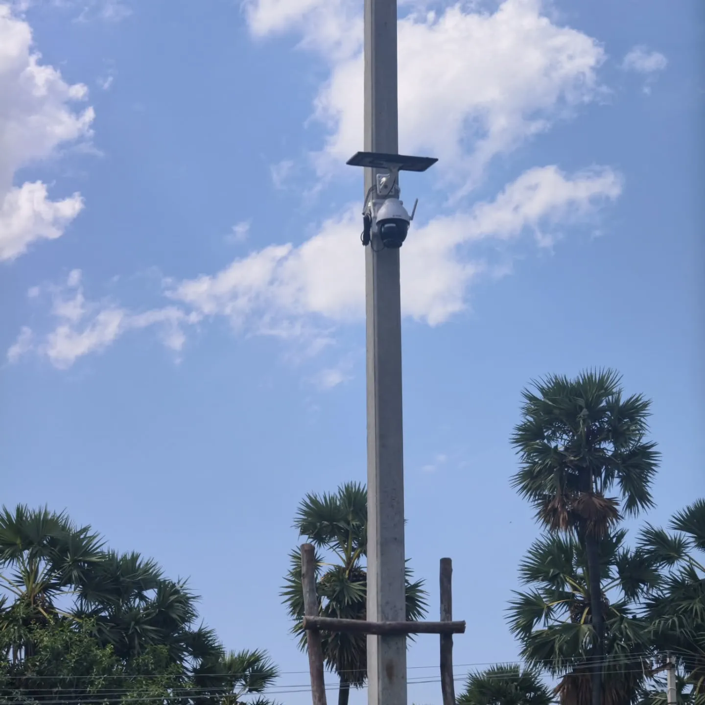 ​A Secureye 3MP solar camera securely clamped to a tall concrete pole overlooking an open plot surrounded by palm trees.